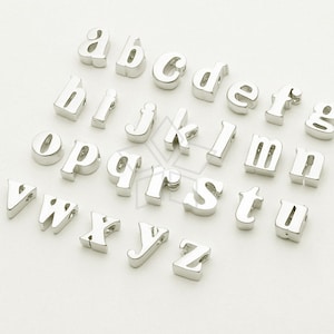 IN-181-MS / 2 piezas - Colgante pequeño inicial, alfabeto, letra pequeña, chapado en plata mate sobre latón, minúscula a-z, ¡elija dos letras!