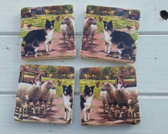 Border Collie and Sheep Set of 4 Natural Stone Coasters          USA and Australia Economy shipping up to 42 days