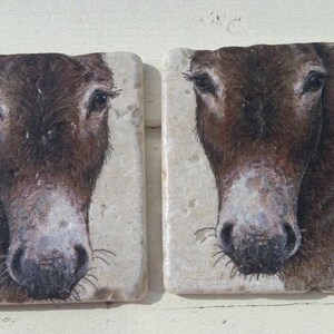 Donkeys Set of 4 Tea Coffee Beer Coasters image 3