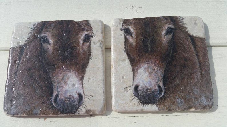 Donkeys Set of 4 Tea Coffee Beer Coasters image 3