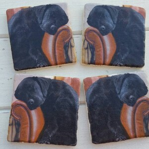 Black Labrador Set of 4 Natural Stone Coasters          USA and Australia Economy shipping up to 42 days