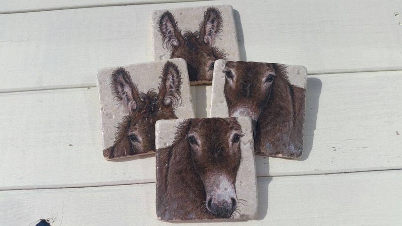 Donkeys Set of 4 Tea Coffee Beer Coasters image 4