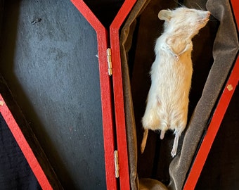 Taxidermy mouse in wooden rose coffin