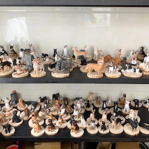 Op de afbeelding: Een verzameling hondenbeeldjes tentoongesteld op planken. De beeldjes zijn van verschillende rassen en maten, elk gemonteerd op een kleine houten basis. De honden zijn in verschillende poses en kleuren.