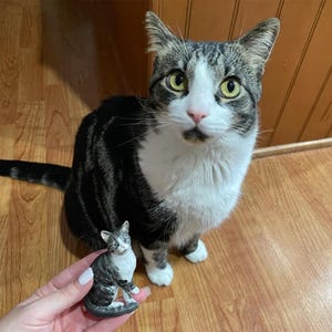 Op de afbeelding: Een tabby kat met witte aftekeningen zit naast een miniatuur keramieken kattenbeeldje. De kat heeft groene ogen en een roze neus. Het beeldje is een kleinere replica van de kat, met vergelijkbare markeringen.
