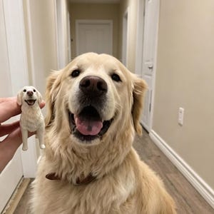 Op de afbeelding: Een lachende Golden Retriever met een bruine halsband naast een klein, wit beeldje van een Golden Retriever. De hond heeft zijn tong uit en kijkt in de camera. Het beeldje wordt in de hand van een persoon gehouden.