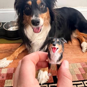 Op de afbeelding: Een driekleurige Australian Shepherd-hond staat naast een miniatuurfiguur van zichzelf. De hond is zwart, bruin en wit met een roze tong. Het beeldje wordt in een hand gehouden en is een gedetailleerde replica van de hond.
