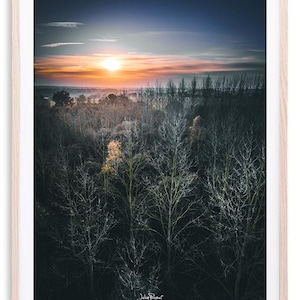 Vista aérea de L'Huisserie - Floresta de inverno | Impressão fotográfica