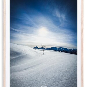 Alpe d'Huez - Árvore nevada | Impressão fotográfica