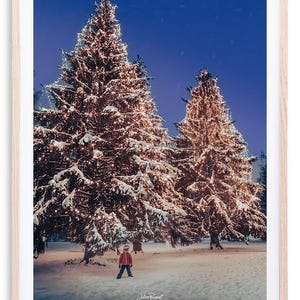 Lapônia - Árvores de Natal | Impressão fotográfica