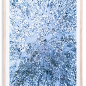 Vista aérea da Lapônia - Floresta nevada | Impressão fotográfica