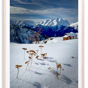 Alpe d'Huez - Vegetação nevada | Impressão fotográfica