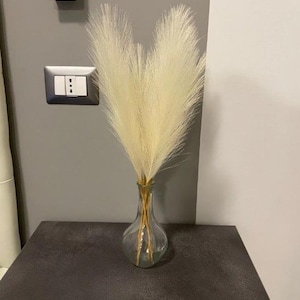 Peut inclure: Un vase en verre transparent avec une surface texturée contient un bouquet de pampas séchées de couleur beige clair.
