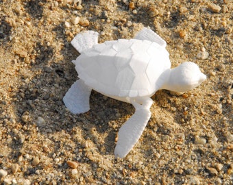 Articulated Sea Turtle Baby