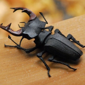 Articulated Stag Beetle Lucanus Cervus image 1