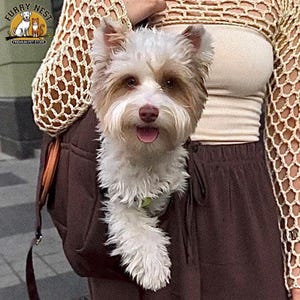 Stylish and Practical Pet Carrier for Cat and Small Dog Travel, Pet Carrier, Cat Travel Bag, Cat and Dog Accessories, Pet tote bag, Pet bag