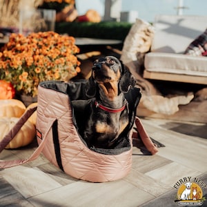 Pet Carrier, Pet Tote Bag, Travel Pet Carrier, Cat Travel Bag, Small dog carrier, Cat and Dog Accessories, Dog carrier bag, Pet bag