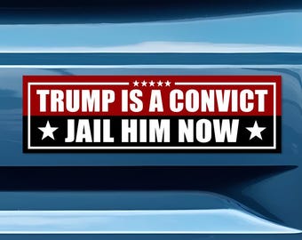 Anti-Trump Bumper Sticker or Car Magnet: Political Activist Decal