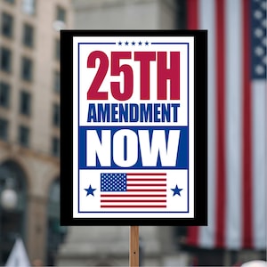 May include: A sign with the text "25TH AMENDMENT NOW" in red and white lettering on a blue background. The sign also features an American flag and stars. The sign is held up by a wooden stick.
