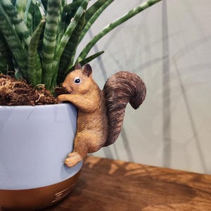 May include: A decorative squirrel figurine attached to a light blue and gold-rimmed plant pot. The pot contains a snake plant with green and white striped leaves. The squirrel is brown with a bushy tail, adding a whimsical touch.