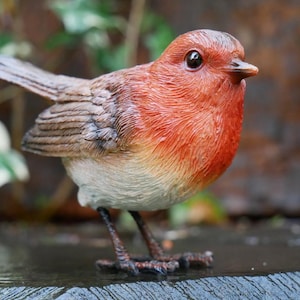May include: A detailed figurine of a European robin. The bird has a red breast, brown wings, and a white belly. It is perched on a surface, with its legs visible. The robin's eyes are dark and it has a small beak.