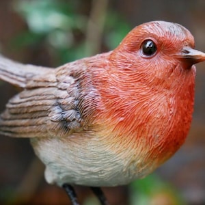 May include: A detailed figurine of a robin bird. The bird has a vibrant red breast, a gray back, and a light gray belly. Its eye is dark and glossy, and the beak is a light orange. The bird is perched, with its legs visible.