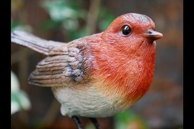 May include: A detailed figurine of a robin bird. The bird has a vibrant red breast, a gray back, and a light gray belly. Its eye is dark and glossy, and the beak is a light orange. The bird is perched, with its legs visible.