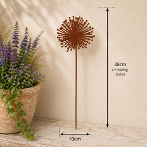 May include: A rust-colored metal garden stake featuring a circular, spiky dandelion-like head. The total height of the decorative piece is 38 cm, including the stake, and the diameter of the circular head is 10 cm. The finish has a textured appearance.