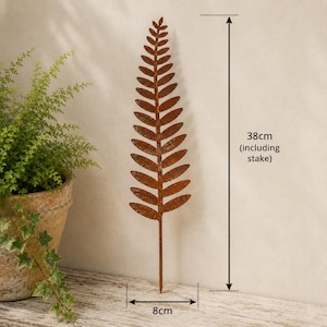 May include: A rust-colored metal fern leaf garden stake with a textured finish. The decorative plant ornament features a pointed tip and symmetrical leaves along a central stem. It measures 38 cm in total height and 8 cm in width as indicated.