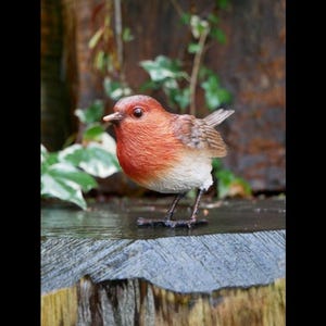 May include: A detailed figurine of a European robin. The bird has a vibrant orange-red breast and a brown back, with a white belly. It stands on a wooden surface, with a natural background of greenery and wood.