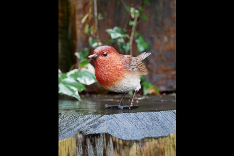 May include: A detailed figurine of a European robin. The bird has a vibrant orange-red breast and a brown back, with a white belly. It stands on a wooden surface, with a natural background of greenery and wood.