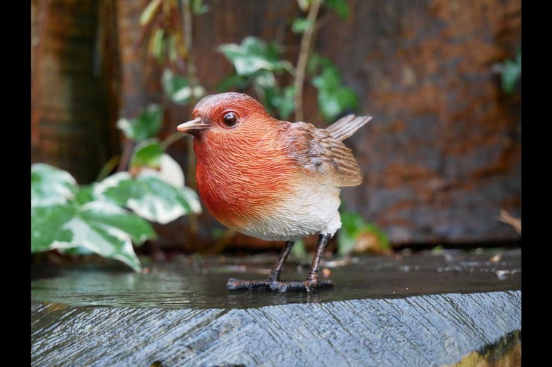 May include: A detailed figurine of a robin bird with a red breast, brown wings, and a white belly. The bird is standing on a wooden surface, with greenery in the background. The bird's beak is open, and its eyes are visible.