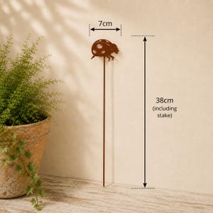 May include: A brown metal garden stake featuring a ladybug silhouette at the top. The ladybug ornament measures 7 cm in width, and the total height of the stake including the pointed end is 38 cm. The design is a simple, flat metal cutout.
