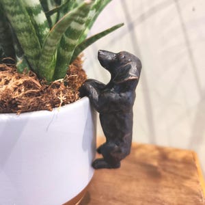 May include: A bronze-effect dachshund dog ornament clinging to a white ceramic plant pot. The dog has detailed paws and a long body. The pot contains a green and white striped plant.