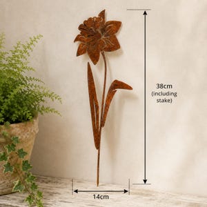 May include: A rust-colored metal daffodil garden stake featuring a flower head, a thin stem, and two pointed leaves. The total height of the item is 38 cm including the stake, and the width of the flower head is 14 cm as indicated by labels.