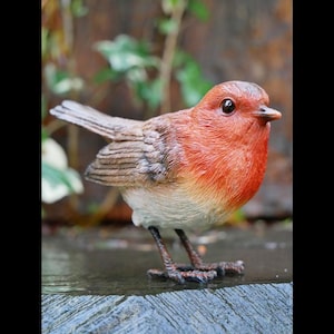 May include: A detailed resin figurine of a robin. The bird features a bright red breast, brown back with feather detail, and a pale belly. It stands on a textured surface, with its small legs and feet visible.