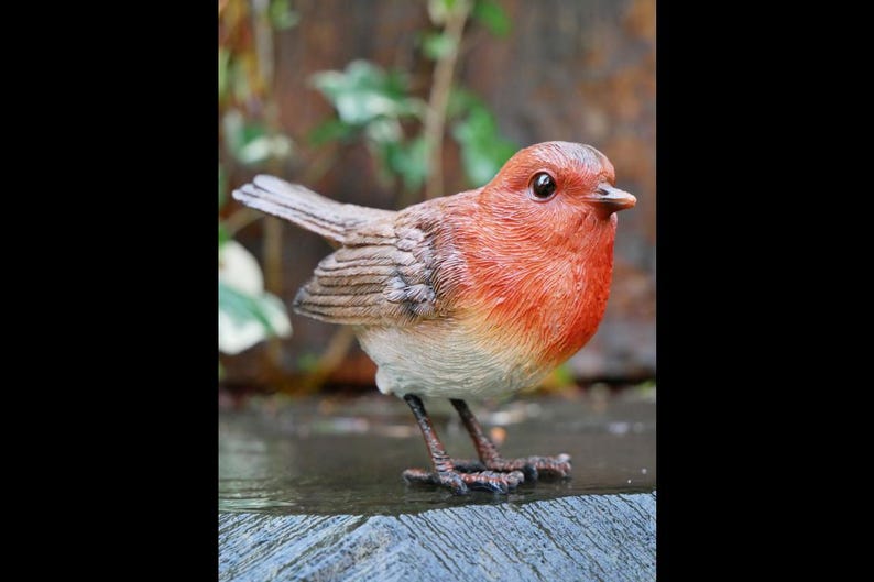 May include: A detailed resin figurine of a robin. The bird features a bright red breast, brown back with feather detail, and a pale belly. It stands on a textured surface, with its small legs and feet visible.
