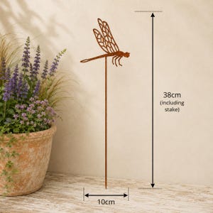 May include: A rust-colored metal dragonfly garden stake with a cutout wing pattern. The dragonfly is attached to a thin vertical rod. The total height of the stake is 38 cm, and the width of the dragonfly is 10 cm, as indicated by the measurement labels.