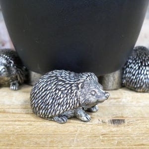 May include: Three silver-coloured hedgehog figurines. One is in the foreground, and two are in the background. The hedgehogs are on a wooden surface, with a black pot in the background.