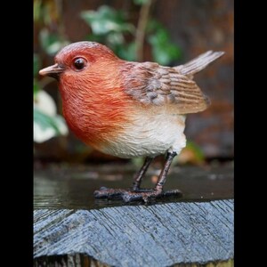 May include: A detailed figurine of a robin bird, with a red breast, brown wings, and a white belly. The bird is standing on a weathered wooden surface. The background is blurred green.