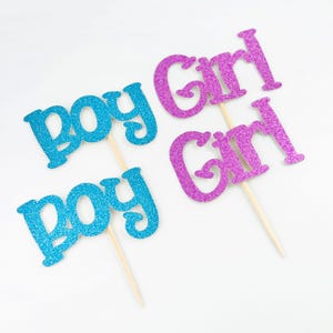 Gender Reveal Cupcake Toppers, Girl/Boy Cupcake Toppers, Baby Shower Cupcake Toppers (set of 6)