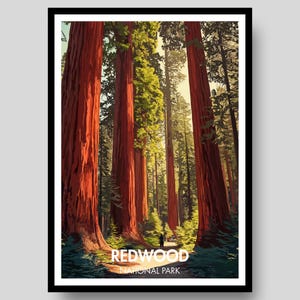 Redwood National Park Poster - Redwood National Park - Redwood National Park Print - California - Redwood Wall Art - US National Parks