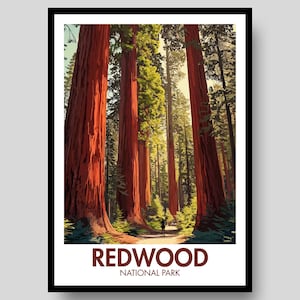 Redwood National Park Poster - Redwood National Park - Redwood National Park Print - California - Redwood Wall Art - California Poster