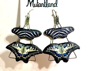 Handmade Butterfly Earrings, Butterfly Earrings,Zebra Longwing earrings, Yellow Swallowtail earrings, Museum Earrings, Handmade Earrings