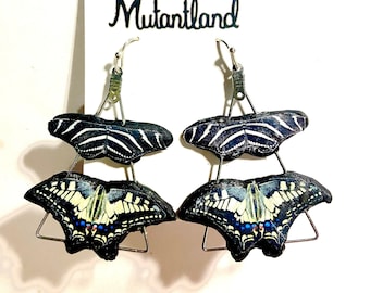 Handmade Clay Butterfly Earrings: Swallowtail & Zebra Longwing Design