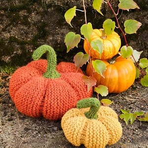 Può includere: Tre zucche lavorate a maglia nei toni dell'arancione e del giallo con steli verdi. Le zucche sono disposte su una superficie di pietra con foglie e viti verdi. Le zucche sono fatte a mano e hanno un aspetto strutturato.