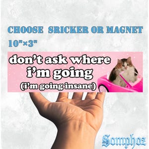 Don&#39;t Ask Where I&#39;m Going Insane|Car/Bumper Sticker AND Magnet|Funny Meme Vinyl Sticker|10&#39;&#39;X3&#39;&#39; Waterproof|Unique Gift for Car Enthusiast