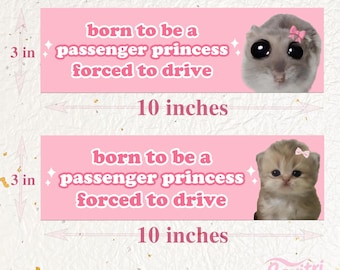 Passenger Princess Car/Bumper Sticker & Magnet|Cute Cat Hamster|Waterproof Premium Quality|Funny Artwork for Vehicles|Handmade Gift for Her