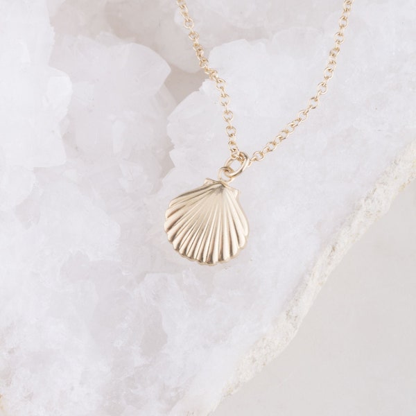 Tiny Seashell Necklace, Gold Shell Necklace, Gold Filled or Sterling Silver Layering Necklace, Dainty Clam Shell Necklace, Ocean Lover Gift