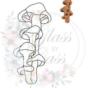 May include: A line drawing of a cluster of mushrooms with a stained glass design. The mushrooms are outlined in black with white and clear sections. A smaller, colored version of the mushrooms is also shown. The words "Glass by Sass" are in the background.
